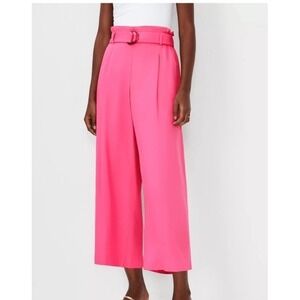 ANN TAYLOR PINK TIE WAIST WIDE ANKLE PANTS Crop XL Elastic Paper bag Palazzo Nwt